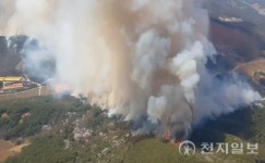 충남 홍성군 산불 확산… 산불 3단계 발령