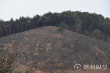 홍성요식홍성요식 | 홍성 산불로 살 길 '막막'… "옷이 어디 있어, 아무것도 못 갖고 나왔어"