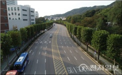 인천 군·구 마다 특색있는 명품 가로수길 조성 