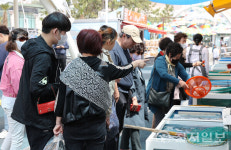 강진 마량놀토 수산시장, 새 단장 후 개장 인파 몰려