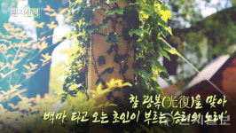 [천지산책] 참 광복(光復)을 맞아 백마 타고 오는 초인이 부르는 승리의 노래