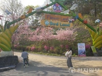 [지역명소] 대전 오월드, 어린이들의 꿈의 동산… 도심 속 자연이 살아 숨 쉬는 곳