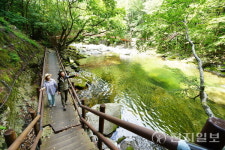 무주군, 구천동 어사길 탐방 행사 개최