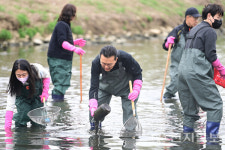 [특집] 인천 대표 명품하천으로… 연수구 승기천 브랜드화 추진