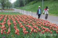 [특집] 인천 대표 명품하천으로… 연수구 승기천 브랜드화 추진