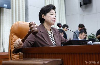 [포토] 의사봉 두드리는 남인순 위원장