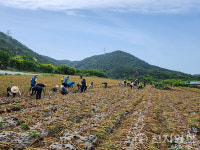 여수농업기술센터, 농번기 일손돕기 나서