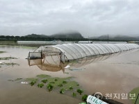 [포토] 충남 청양, 침수된 비닐하우스