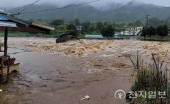 [포토] 기록적인 폭우에 사라진 공주 마곡사 가는 길