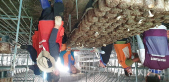 산림청, 집중호우·산사태 피해 입은 임가 복구에 힘 보태