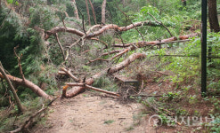 원주시, 치악산둘레길 일부 코스 임시 폐쇄