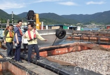 여수 돌산읍 어류 집단 폐사… 거문도도 피해 잇따라