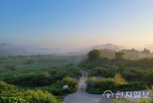 [포토] 안개낀 북삼리의 아침