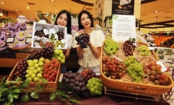 [#먹거리 신상이오] 오뚜기, 가뿐한끼 곤약볶음밥 4종 출시 外 SPC삼립, 신세계푸드, 신세계百, 현대百, 롯데百