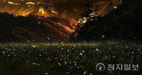 무주반딧불축제 성료… 자연특별시 무주 방문의 해 선포