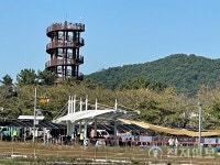 [포토] 시흥 갯골생태공원 축제