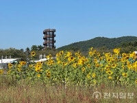 [포토] 시흥 갯골생태공원 축제