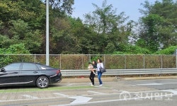[포토] 화장실 어디있나요… 고속도로 갓길 귀성객