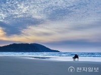 문화의 달 행사 앞둔 신안 자은도 주목