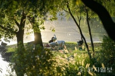 우리는 정원에 삽니다… 순천 시민들의 정원사용법