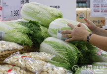 [포토] 김장철 앞두고 오르는 배추 가격