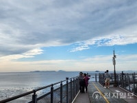 [지역명소] 충남 서천갯벌과 장항송림산림욕장 스카이워크… 상큼한 솔바람 맡으며 맨발로 걷는 힐링명소