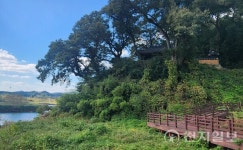 곡성 함허정 일원, 국가지정문화재(명승) 지정 예고
