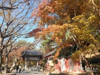 [지역명소] 충남 예산 수덕사(修德寺)… 호서의 금강산, 덕숭산에 자리한 천년 고찰을 거닐다
