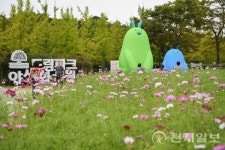 방문객 26만명 드림파크 야생화단지… 인천의 휴식명소로 각광