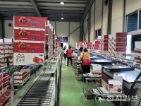 진안군 농산물산지유통센터, 지난해 매출액 210억원 달성