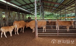 전남도, 환경친화 축산 육성에 3090억원 투입