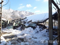 남원시, 가축 재해 보험비 선착순 지원