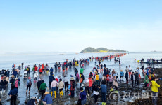 제44회 진도 신비의 바닷길 축제 봄의 시작, 신비의 바다에서 주제로 막 올라
