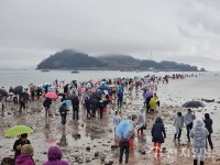 [포토] 열렸다 한국판 모세의 기적