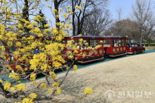 수원시, 화성어차 정류장·노선 통합해 운영 체계 개선