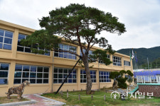 진주시 기업가정신 상징 부자소나무 경남도 보호수 지정