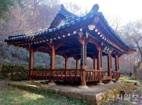 보성군, 6년 만에 향토문화유산 10건 신규 발굴·등재