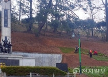 진도군 도시 숲 조성사업으로 녹색도시 실현 나서