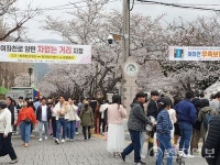 [포토] 진해군항제 여좌천로 차없는 거리 주변 풍경