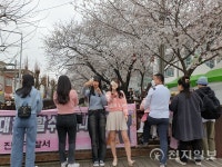 [포토] 진해군항제 여좌천로 차없는 거리 주변 풍경