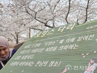 [포토] 진해군항제 여좌천로 차없는 거리 주변 풍경