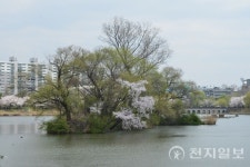 [포토] 수원만석공원 풍광