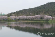[포토] 광주 북구 우치공원 호수 반영