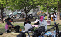 [포토] 나무 그늘 밑 텐트