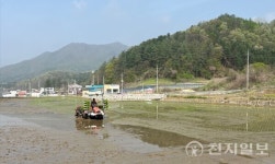 횡성군, 서원면서 지역 첫 모내기... 논 농사 본격 시작!
