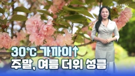 [영상-주말 날씨&산책] 낮엔 여름 더위… 군포 철쭉동산 산책 어때요?