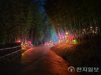 대숲처럼 초록처럼 제23회 담양 대나무축제 열리다