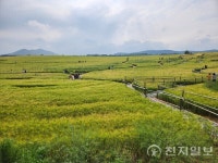 [포토] 고창 학원농장 청보리밭 축제 즐겨요