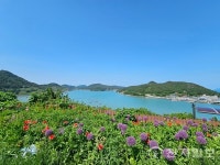 [피플&포커스] 34년 섬 박사 김준 교수 경치보다 기억에 남는 사람 있는 섬이 좋아