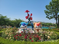 [포토] 성산공원 장미동산